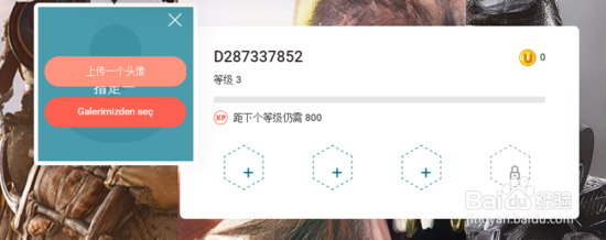 改头像2