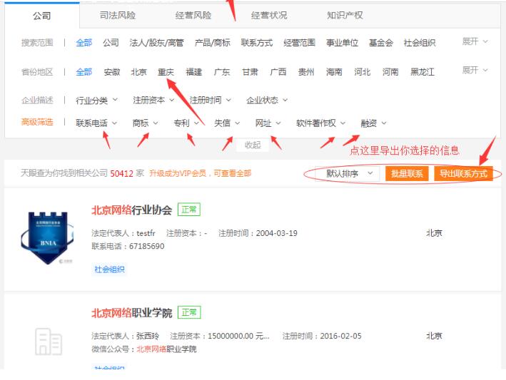 天眼查怎么导出数据2