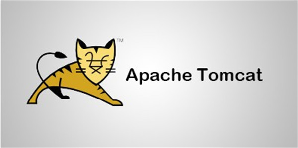 Tomcat6.0