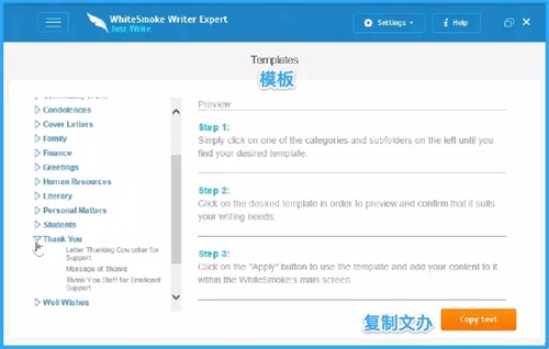 WhiteSmoke使用功能介绍4