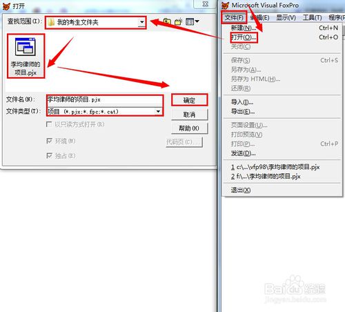 visual foxpro 9.0使用方法2