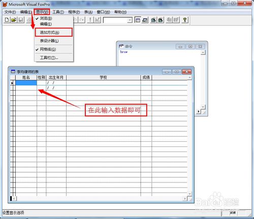 visual foxpro 9.0使用方法5