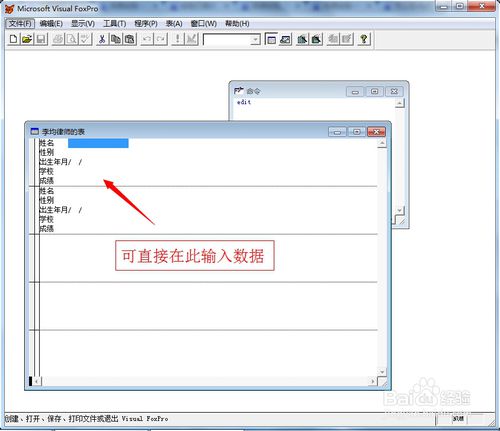 visual foxpro 9.0使用方法7