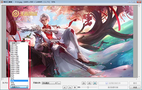 FastStone Image Viewer电脑版常见问题2
