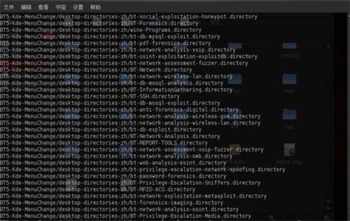 BackTrack中文版安装教程4