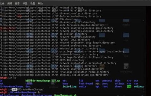 BackTrack中文版安装教程5