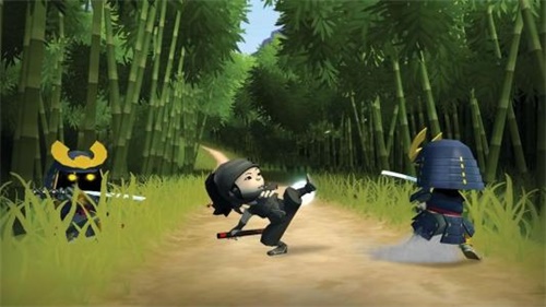 迷你忍者5
