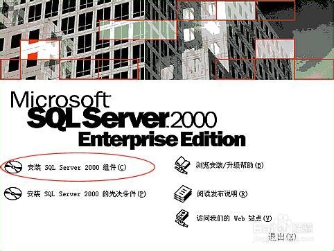 microsoft sql server 2000中文版2