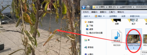 Arctime字幕软件破解版使用方法1