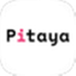 Pitaya火龙果智能写作软件 v0.1.11 桌面版 