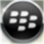 berrybox官方下载 v0.24 pc版 