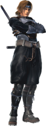 疾风(HAYATE)