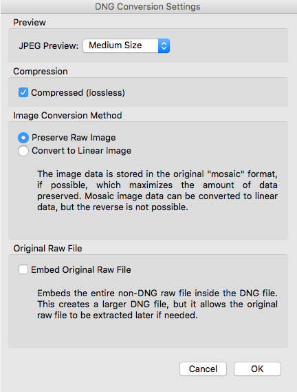Adobe Bridge 2021快速导入照片4