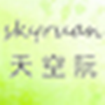 skyruanboy网络扫描工具 v1.0 绿色版 
