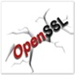 openssl软件包官方下载 v1.10 最新版 