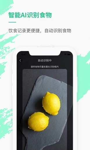 薄荷网app下载