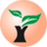 雨林风盘u盘启动制作工具最新版下载 v10.3.1910.21 官方版 