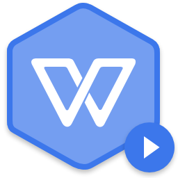 wps plus Pro 完整版下载 v2021 兰台版 