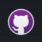 GitHub Desktop中文电脑版下载 v2.6.6.6 绿色版