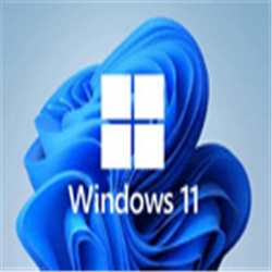 Windows 11专业版下载 v22000.51 中文预览版(附激活秘钥)