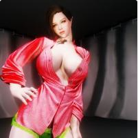 上古卷轴5奴漫城插件完美整合版下载 v3.0 汉化版(百度网盘分享) 