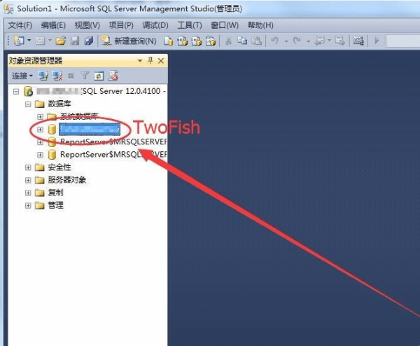 Microsoft SQL Server2020最新安装包下载 百度网盘分享 中文免费版