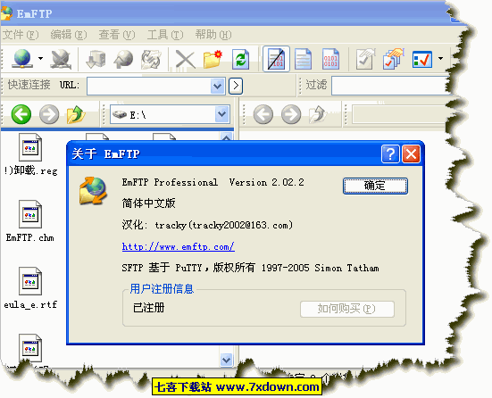 EmFTP Professional