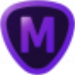Topaz Mask AI破解版下载 v1.3.3 汉化免费版
